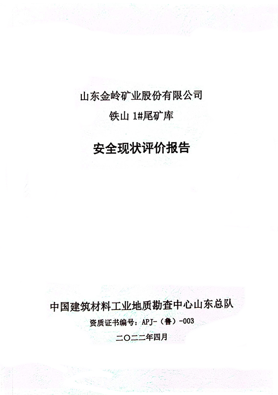 报告封面.png
